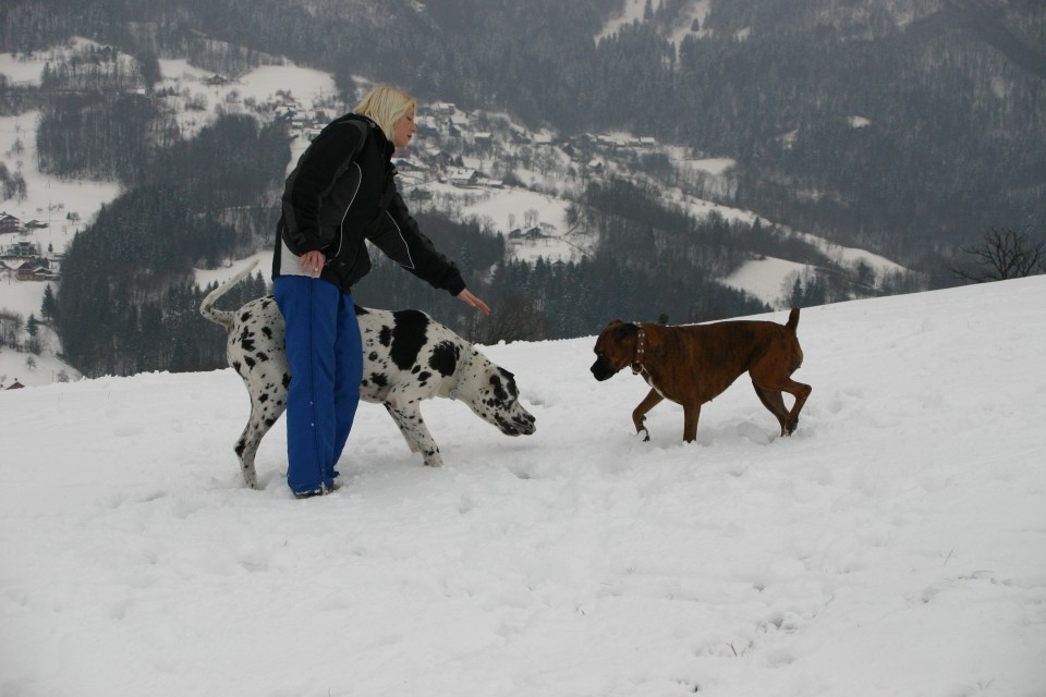 Gina in cana - foto povečava