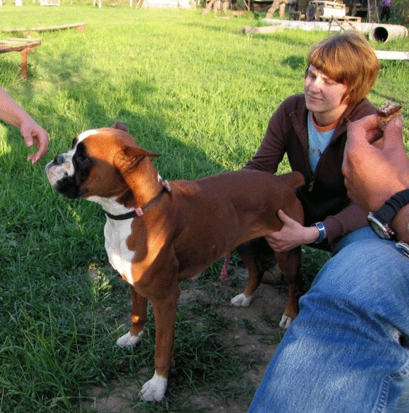 Bokser piknik - 22.4.2007 - foto povečava