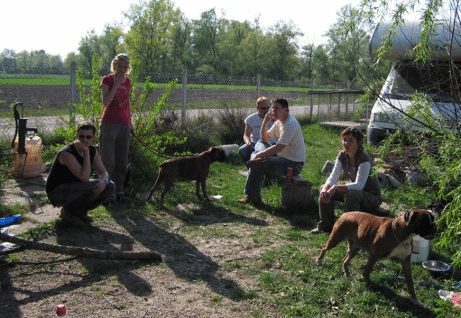 Bokser piknik - 22.4.2007 - foto povečava