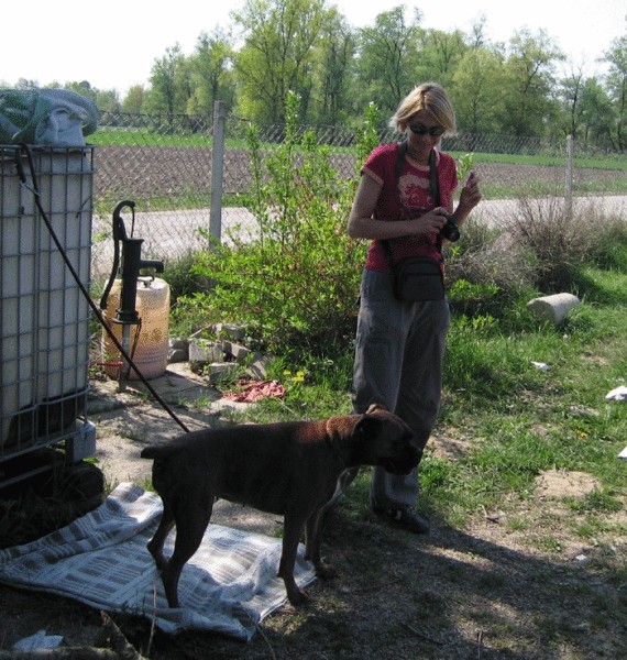 Bokser piknik - 22.4.2007 - foto povečava