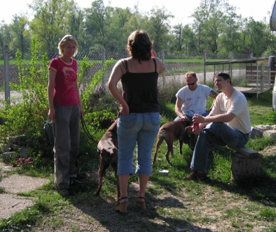 Bokser piknik - 22.4.2007 - foto