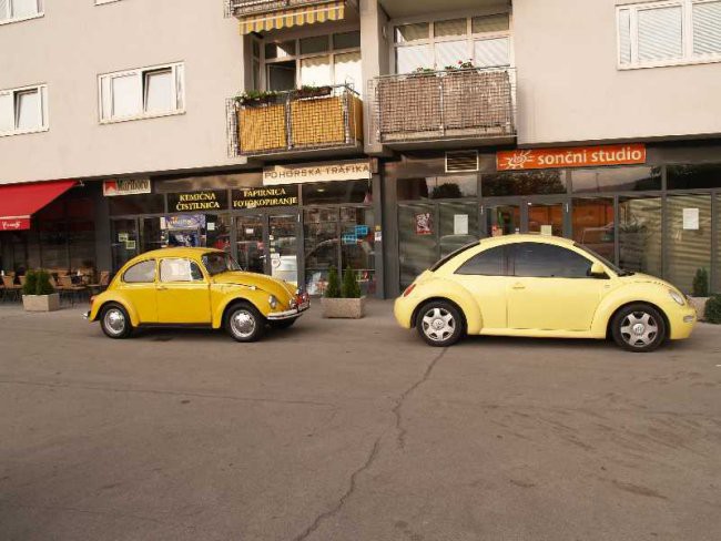 Rumena strela - foto povečava