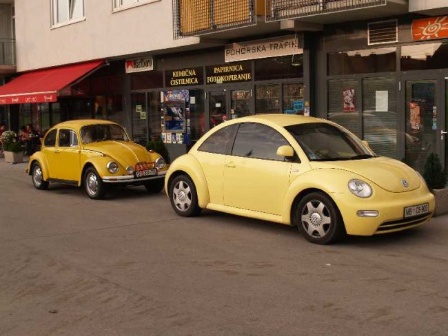 Rumena strela - foto povečava
