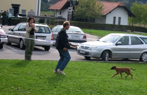 2. OBF - foto povečava