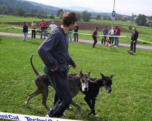 2. OBF - foto
