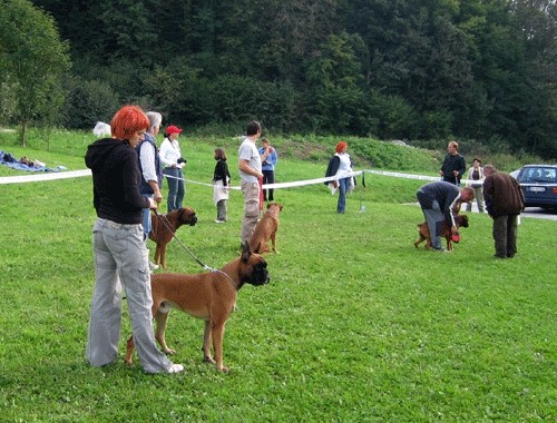 2. OBF - foto povečava