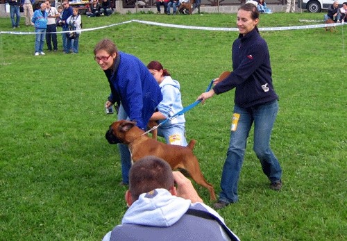 2. OBF - foto povečava