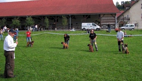 2. OBF - foto