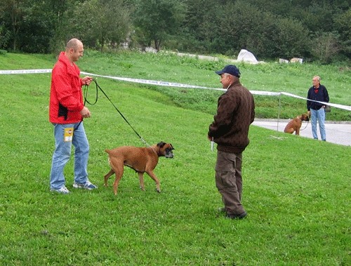 2. OBF - foto povečava