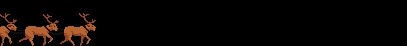 ANIMACIJE - foto