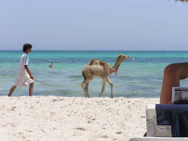 Djerba 2005 - foto