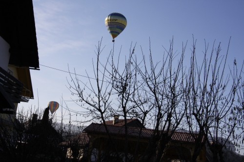 Februar 2008 - foto povečava