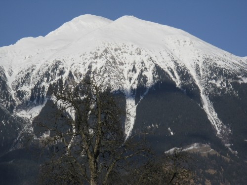 Februar 2008 - foto povečava