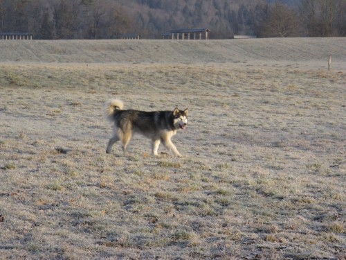 Februar 2008 - foto povečava