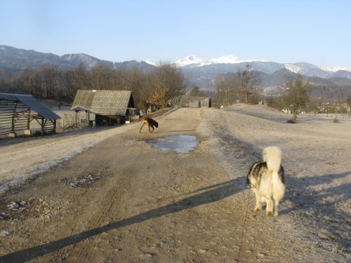 Februar 2008 - foto povečava