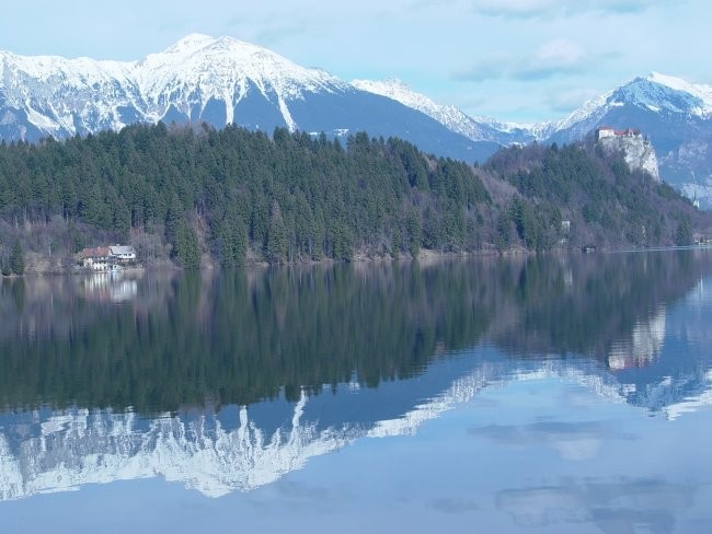 Narava - foto povečava