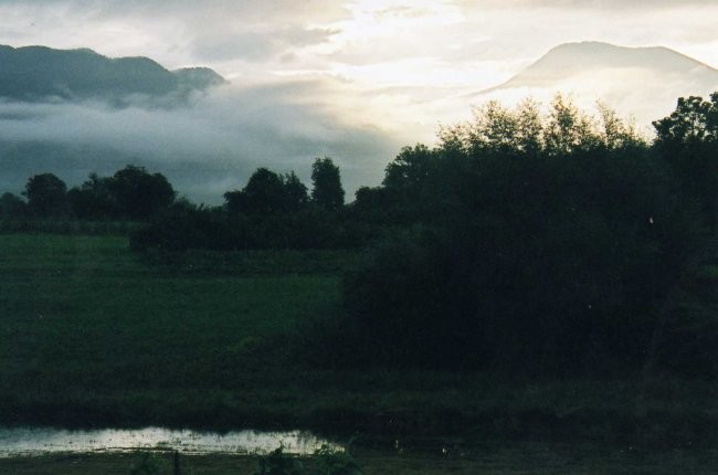 Narava - foto povečava