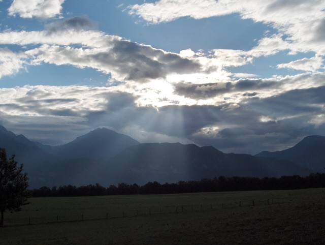 Narava - foto povečava