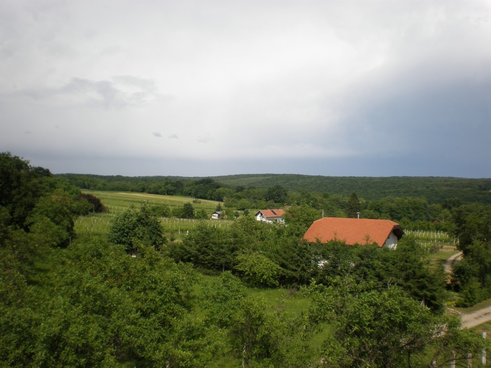 MARP piknik - foto povečava