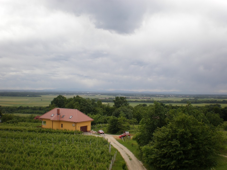 MARP piknik - foto povečava