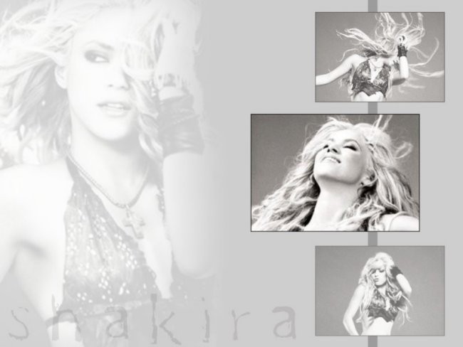 Shakira Wall - foto povečava