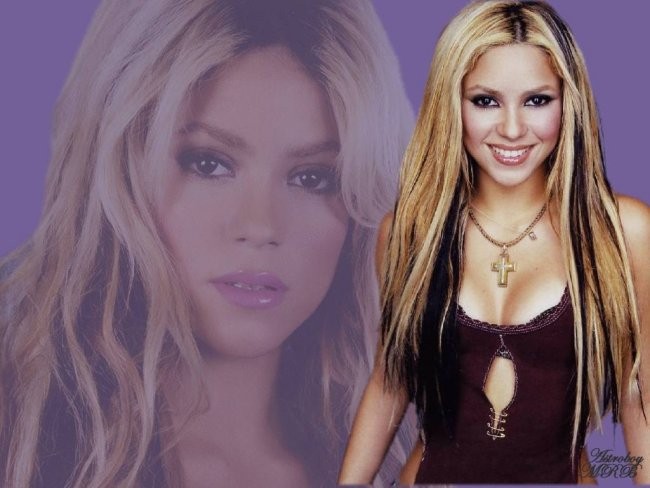 Shakira Wall - foto povečava