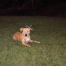 Kira (23.9.05)
