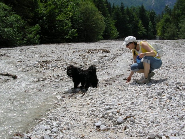 Logarska dolina junij 2006 - foto