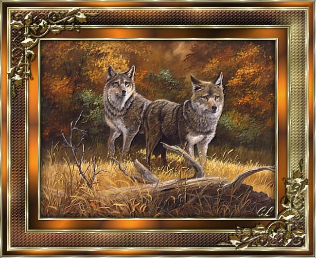 The Red Wolves