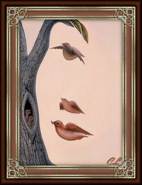 Face 2