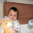 muci muc