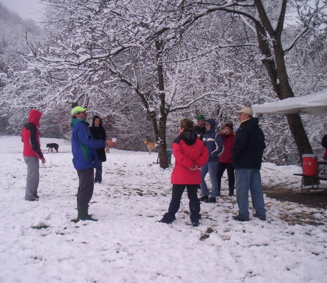 Zakljucek mala sola 18.11.2007 - foto povečava