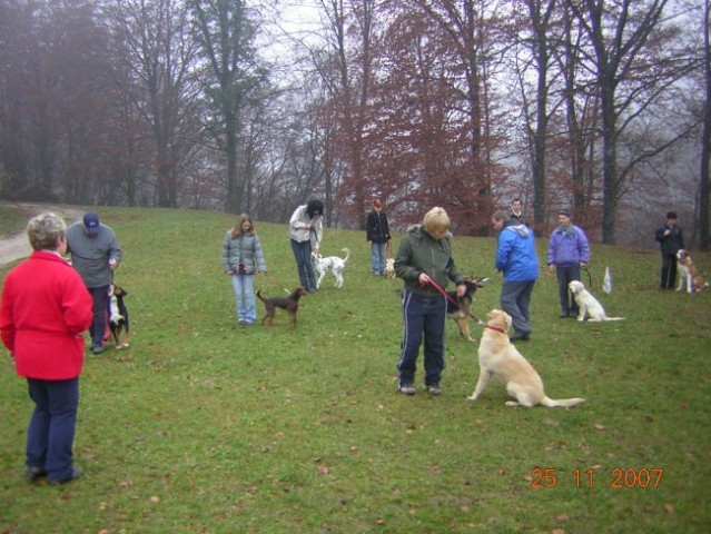 MALA ŠOLA 25.11.2007 - foto