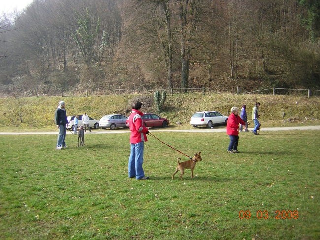 Mala šola 9.3.2008 - foto povečava