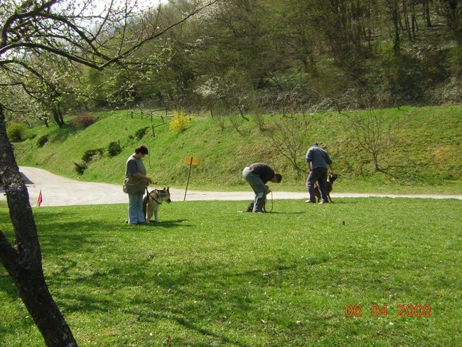 BB-H 6.4.2008 - foto povečava