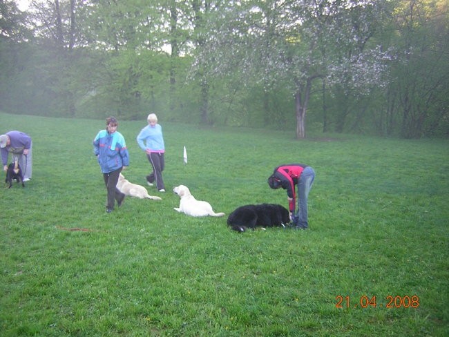 ZAČETNI TEČAJ A 21.4.2008 - foto povečava