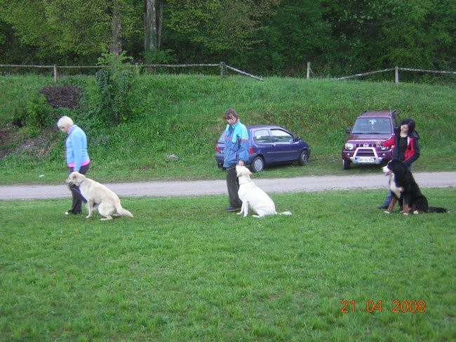 ZAČETNI TEČAJ A 21.4.2008 - foto povečava