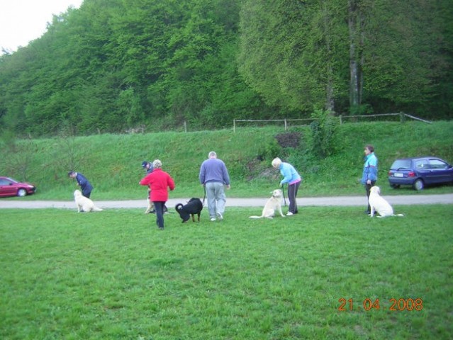 ZAČETNI TEČAJ A 21.4.2008 - foto