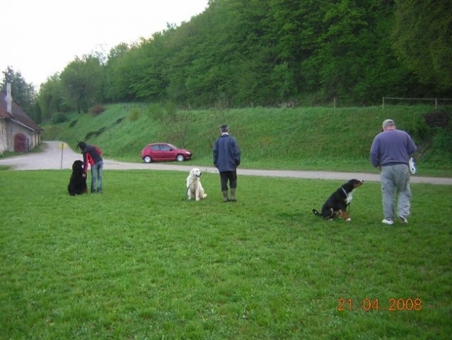 ZAČETNI TEČAJ A 21.4.2008 - foto