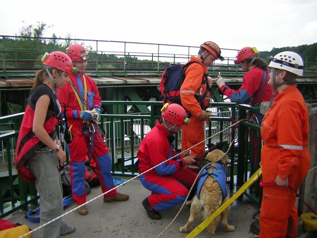 2. VAJA REŠUJMO ŽIVLJENJA 2008 - foto povečava