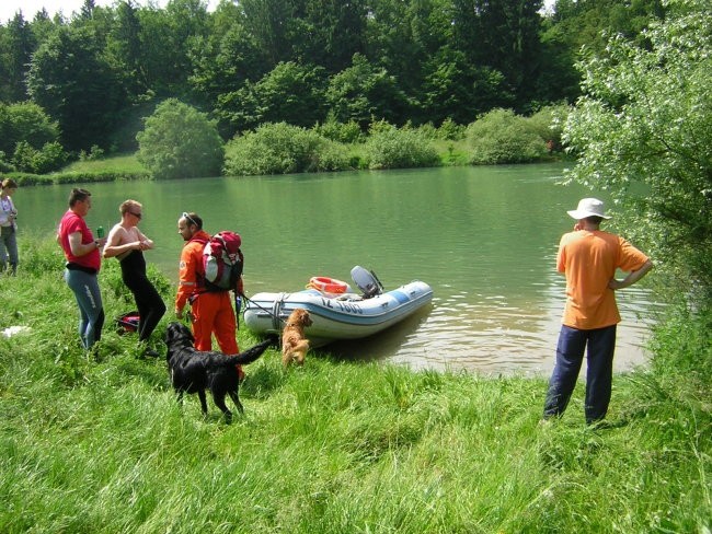 2. VAJA REŠUJMO ŽIVLJENJA 2008 - foto povečava