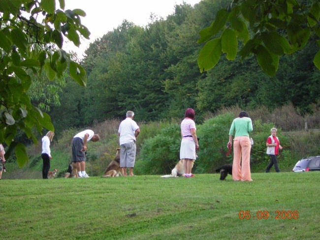 ZAČETNI TEČAJ 5.9.2008 - foto povečava