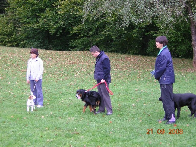 MALA ŠOLA 21.9.2008 - foto povečava