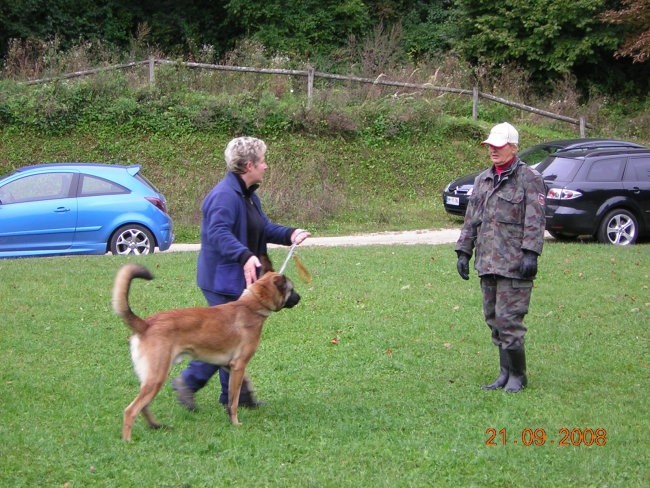 MALA ŠOLA 21.9.2008 - foto povečava