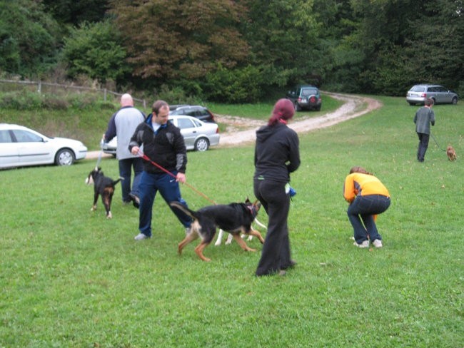 MALA ŠOLA 22.9.2008 - foto povečava