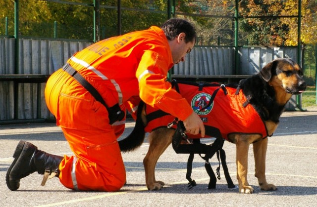 VAJA CIVILNE ZAŠČITE 11.10.2008 - foto