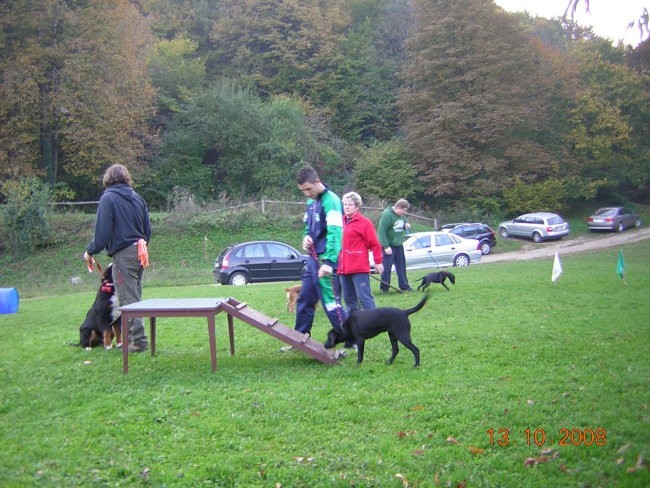 MALA ŠOLA 13.10.2008 - foto povečava