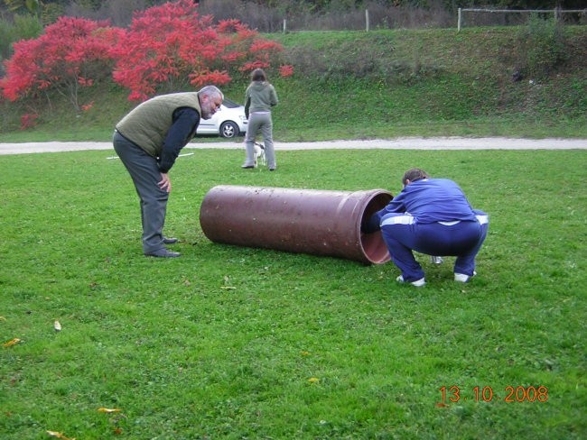 MALA ŠOLA 13.10.2008 - foto povečava