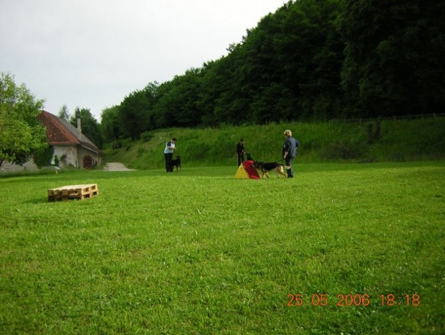 šolanje psov 25.5.2006 - foto