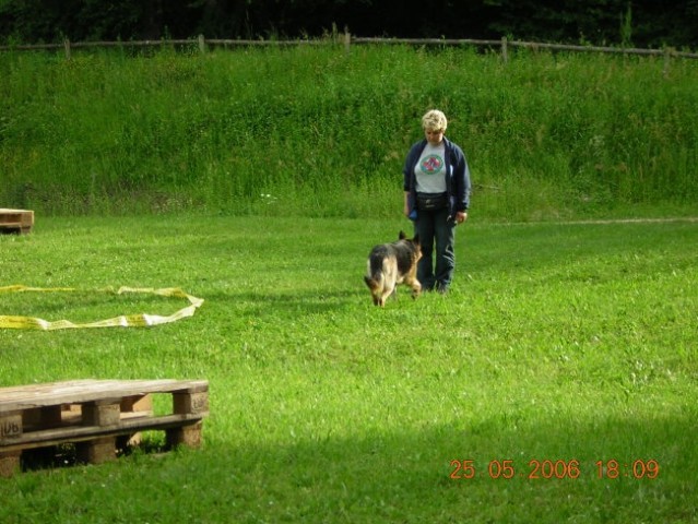 šolanje psov 25.5.2006 - foto